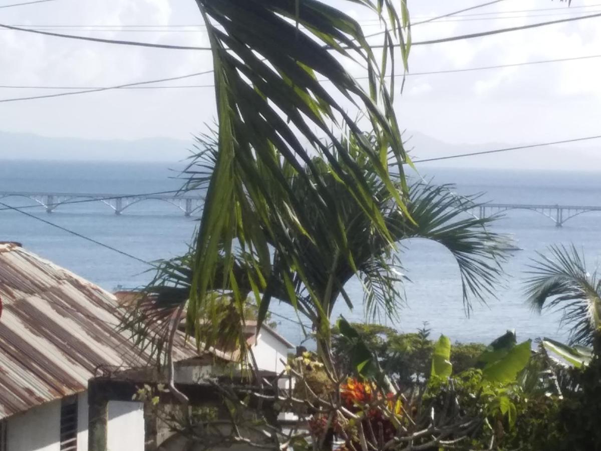 Room In Guest Room - Best Bed And Breakfast In Samana Breakfast Included Exterior photo