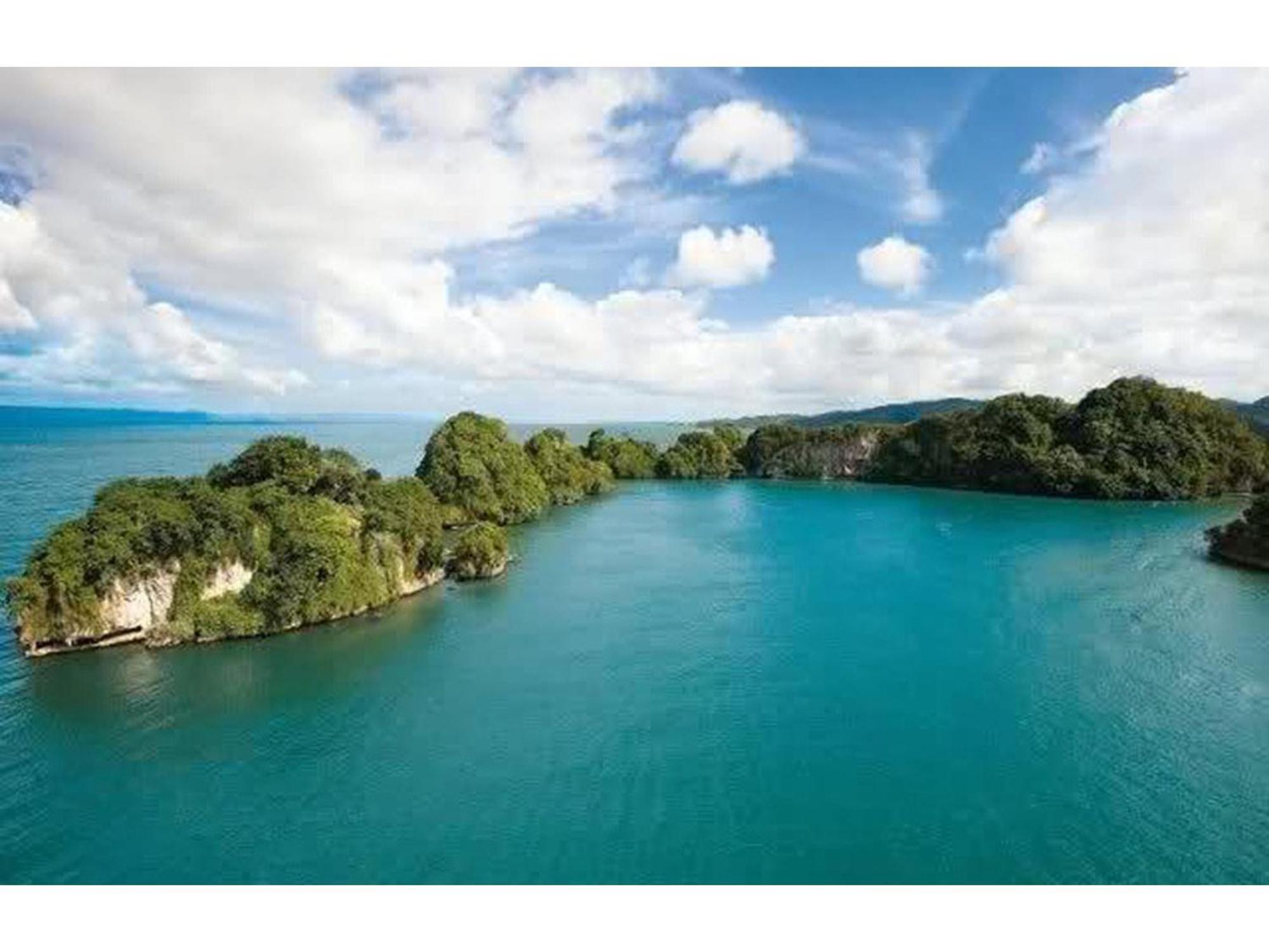 Room In Guest Room - Best Bed And Breakfast In Samana Breakfast Included Exterior photo